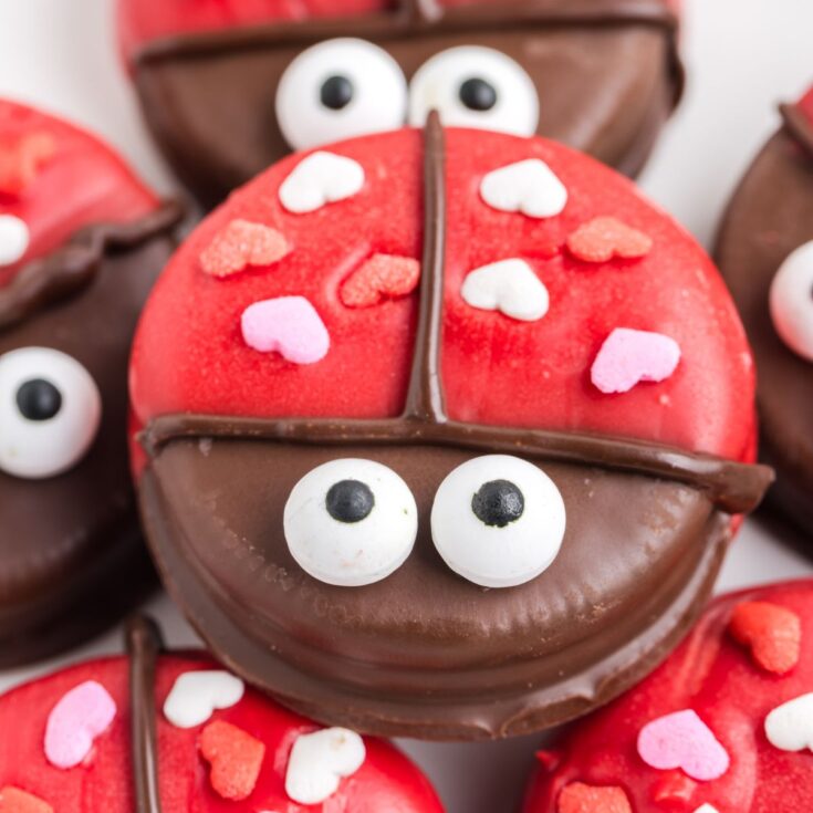 Image for Love Bug Oreos
