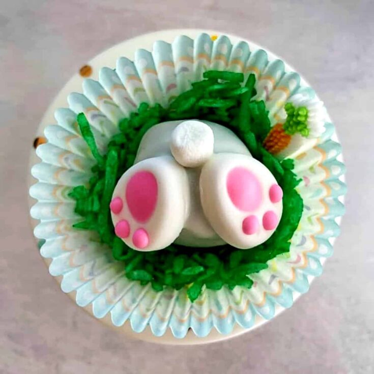 Image for Bunny Cake Pops | EmilyFabulous